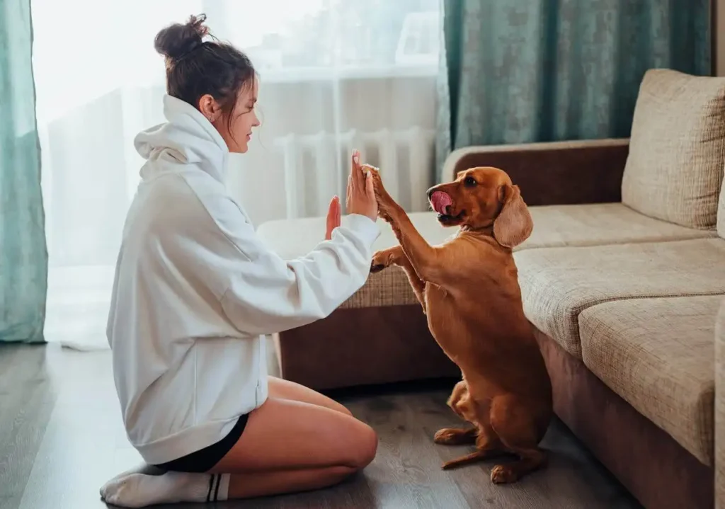 Female owner playing with dog at a pet-friendly rehab