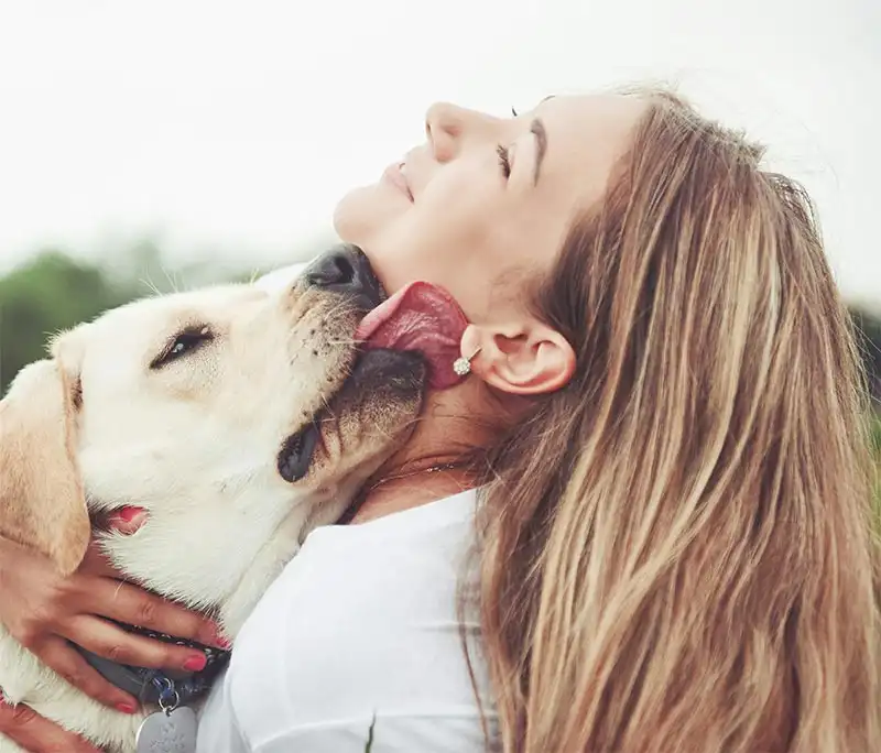 a beautiful girl-with a beautiful dog in a park on green grass