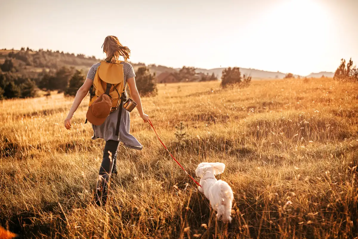 woman walking in a hill with her pet