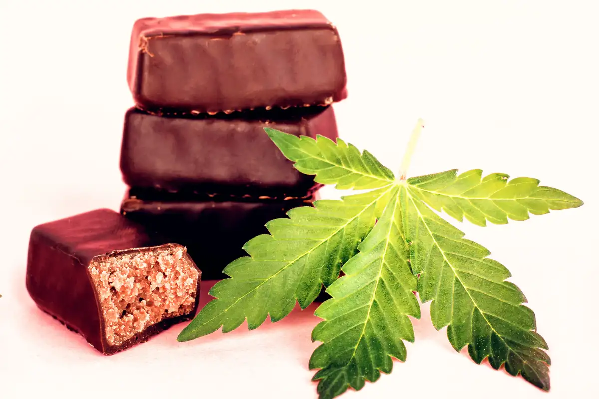 Dark chocolate cannabis edibles with fresh marijuana leaves