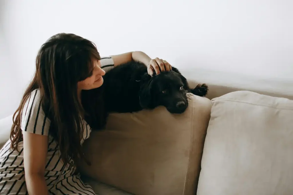 Woman Petting Dog on Cozy Indoor Sofa