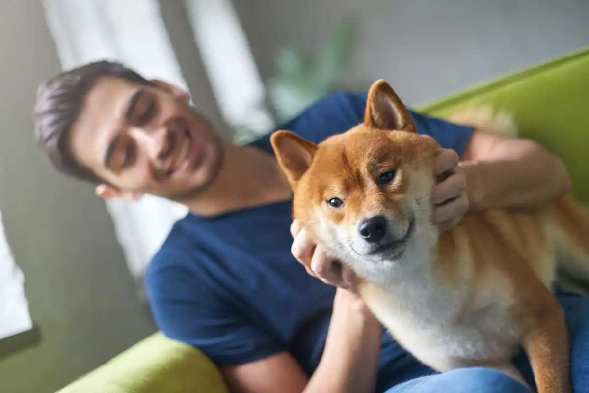 Young caucasian male in casual t-shirt playing with his cute pet on couch at home, stroking and petting