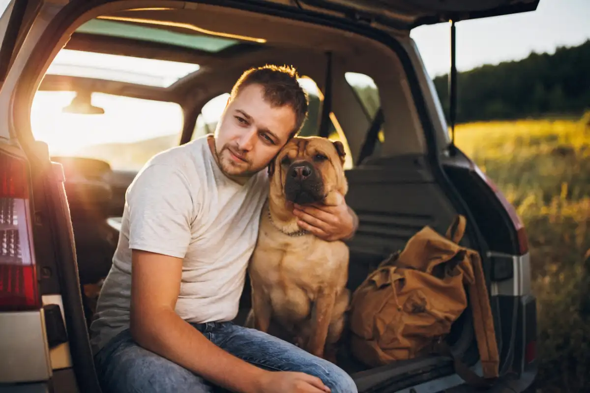 How to Support Your Pet Emotionally After Rehab