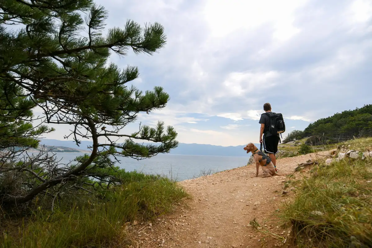 Man Hiking with Dog on Scenic Coastal Trail